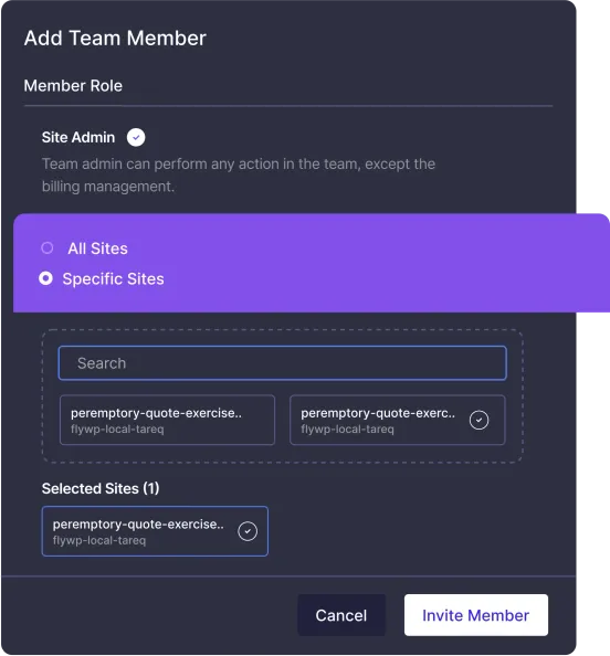 Granular team permissions