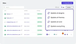 Bulk plugin and theme updates
