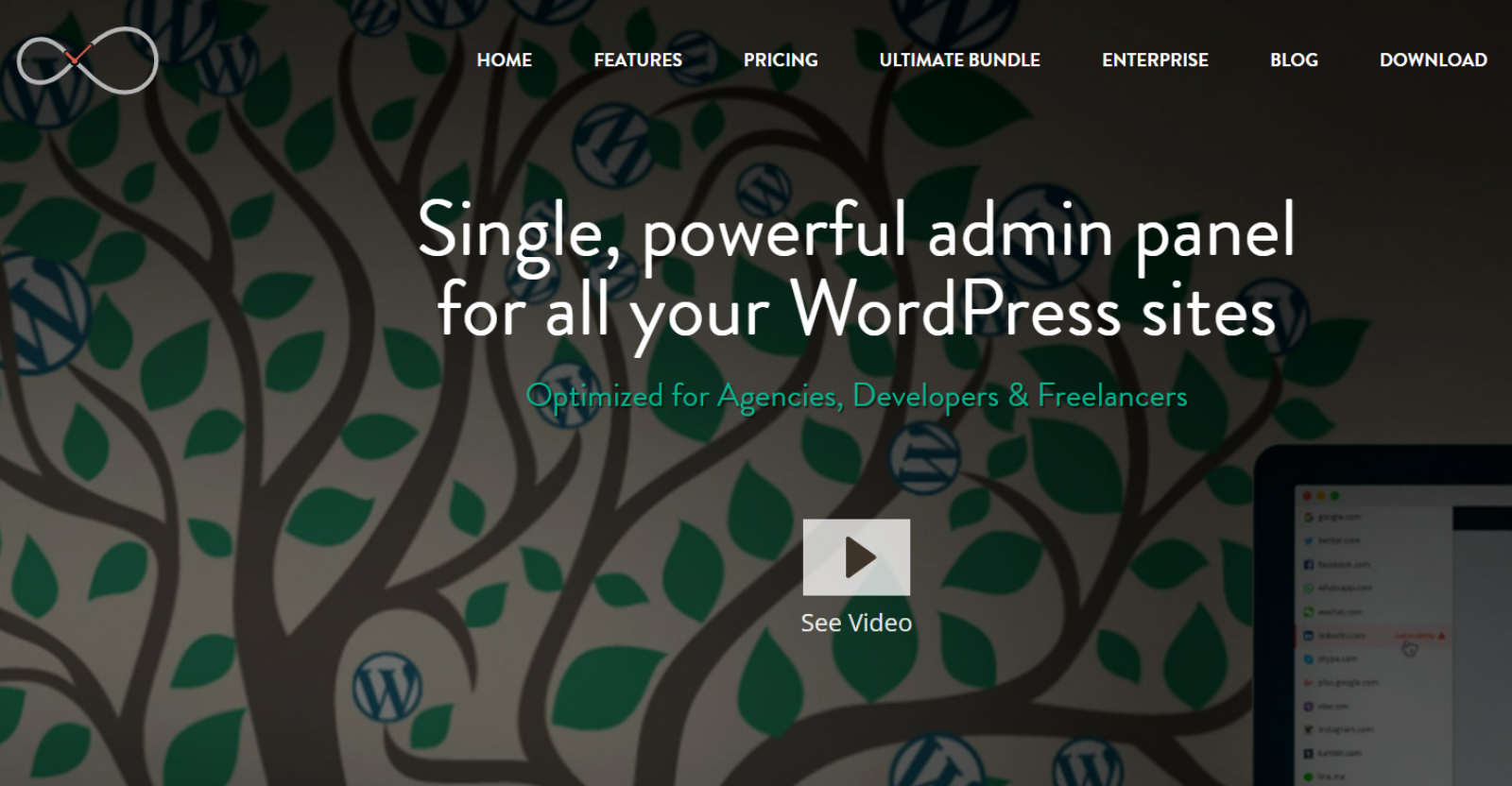 Infinitewp WordPress Management Tool