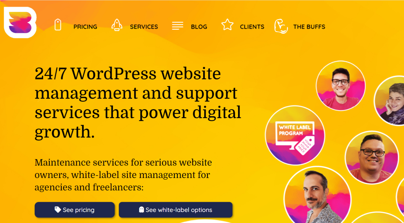Wpbuffs WordPress Mnagement Tool