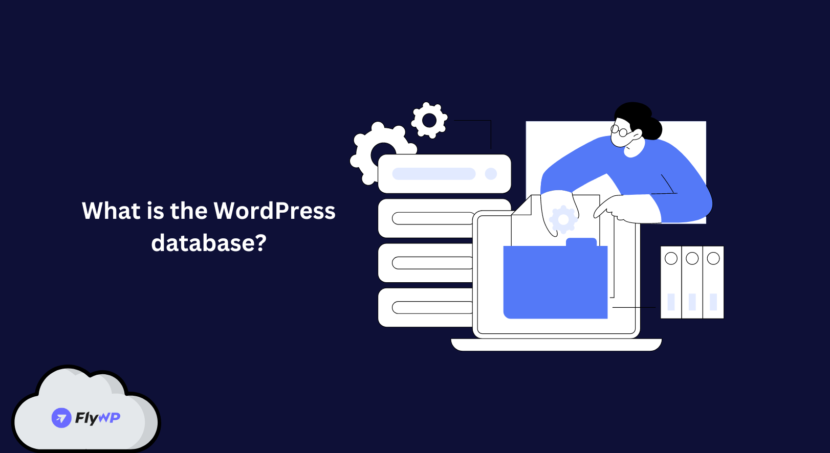 What Is The WordPress Database