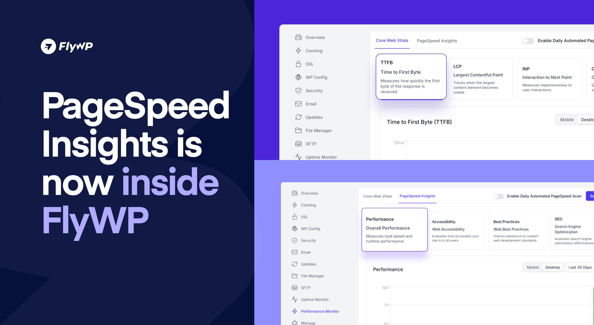 PageSpeed Insights is now inside FlyWP